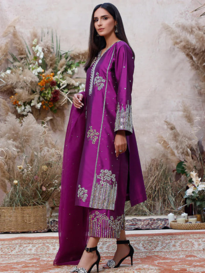 Pakistani Formal Heavily Embroidered Shalwar Kameez - Image 2