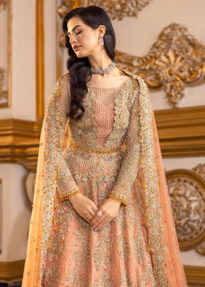 Flushed Peach Lehenga Choli Wedding Dress - Image 3