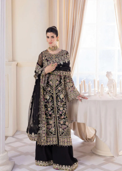 Pakistani Black Embroidered Front Open Gown - Image 4