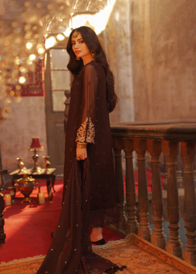 Elegant Embroidered Brown Pakistani Party Dress - Image 2