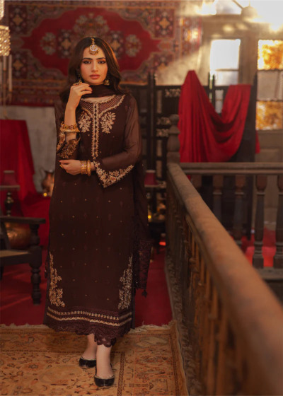 Elegant Embroidered Brown Pakistani Party Dress