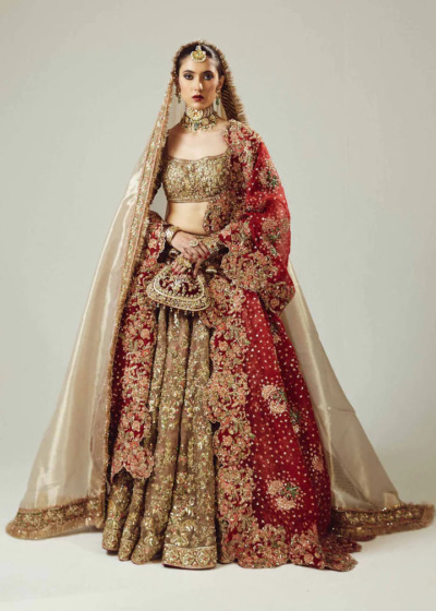 stunning lehenga