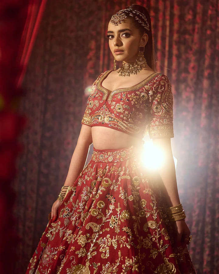 Elegant Indian Wedding Red Lehenga Choli Bridal Wear