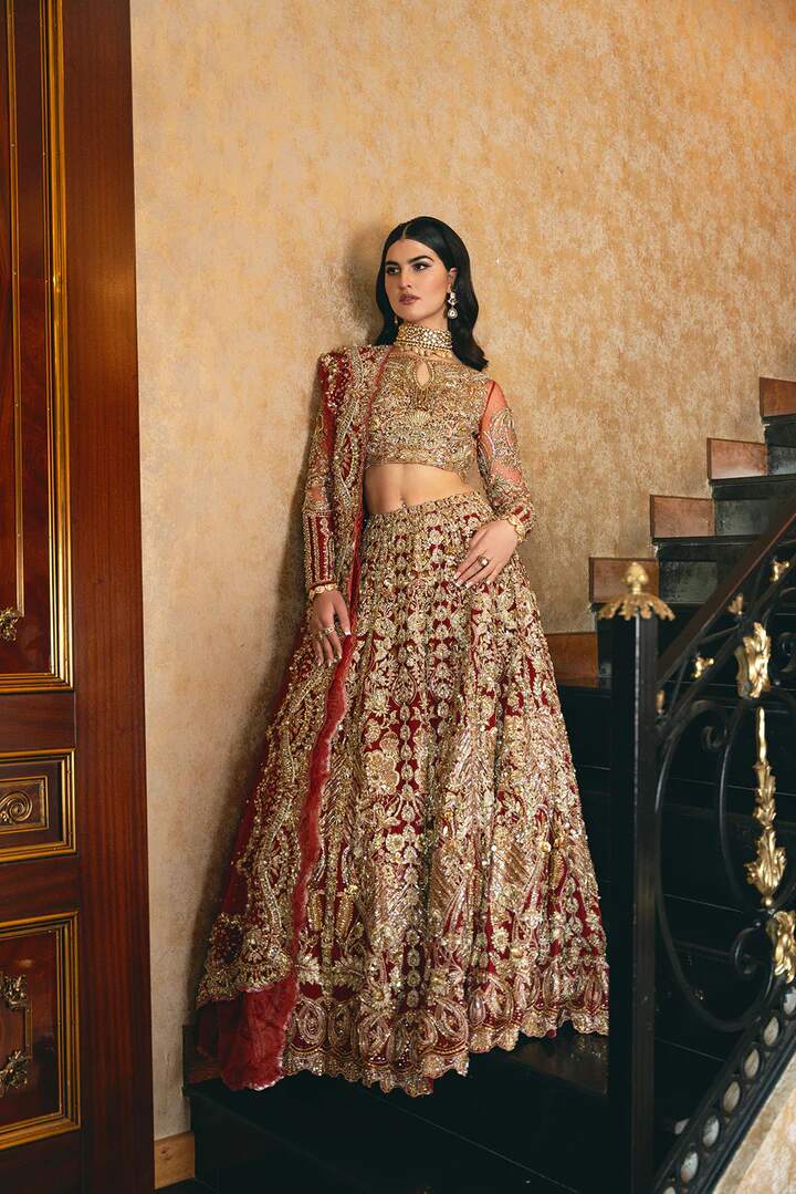 Pakistani Wedding Dress Red Bridal Lehenga Embellished Outfit