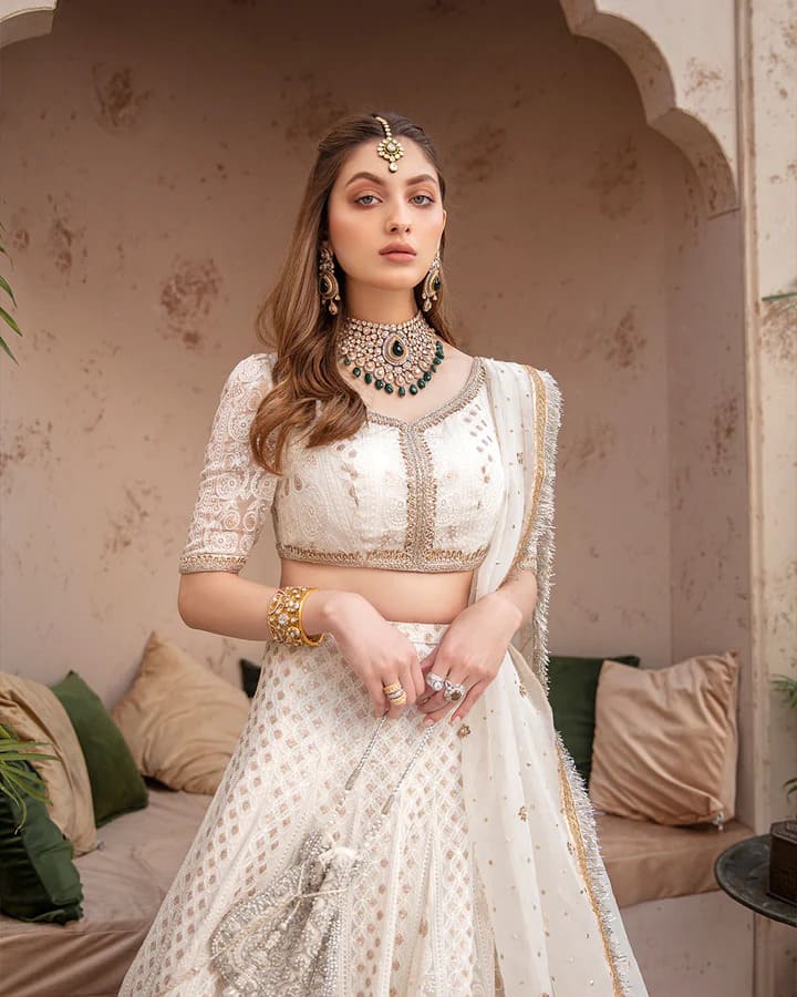 Pakistani Bridal Hand Embroidered Chikankari Chiffon Choli Outfit