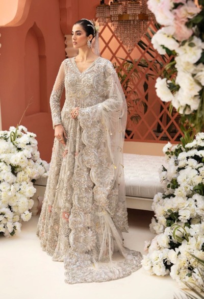 Pakistani Bridal Embellished Silver Gown Outfit