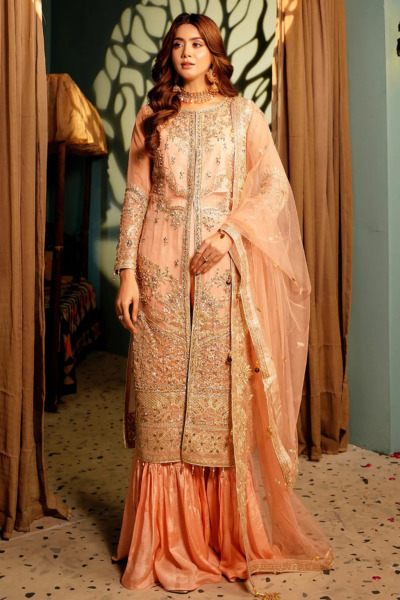 Peach Pakistani Party Embellished Kameez Trouser