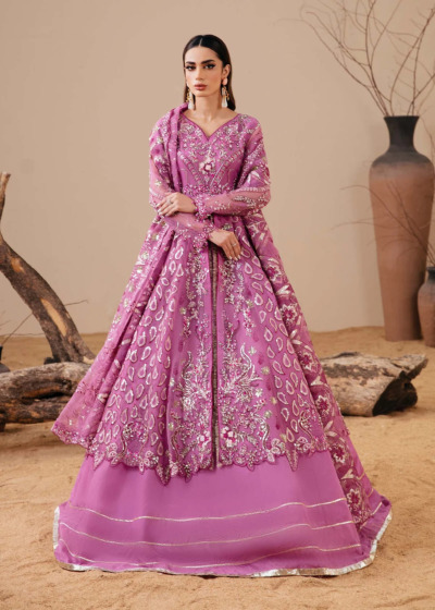 Pakistani Party Purple Organza Frock Lehenga