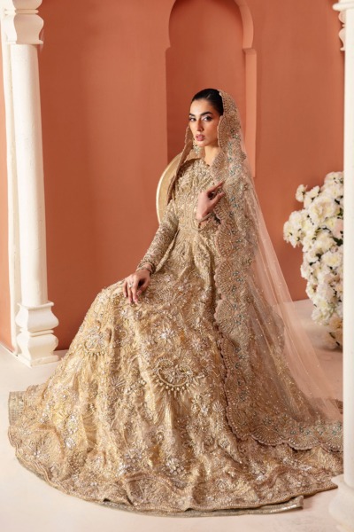 Pakistani Bridal Embellished Gold Pearl Gown