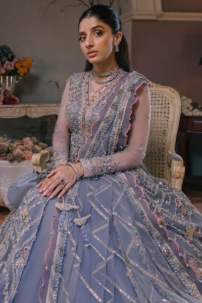 Pakistani Wedding Grey Open Gown Trouser - Image 3