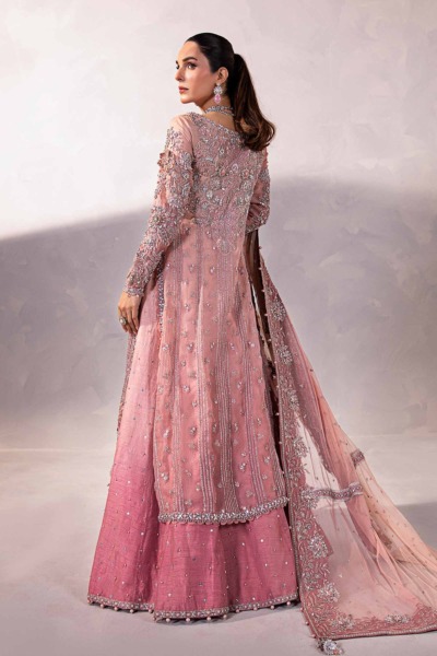 Pakistani A-Line Lehenga Kameez Bridal Dress - Image 2